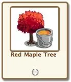 Red Maple Tree with a bucket