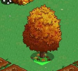 Autumn tree with orange foliage on green grass.