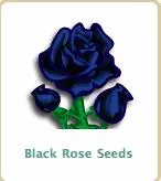 Black rose seeds icon