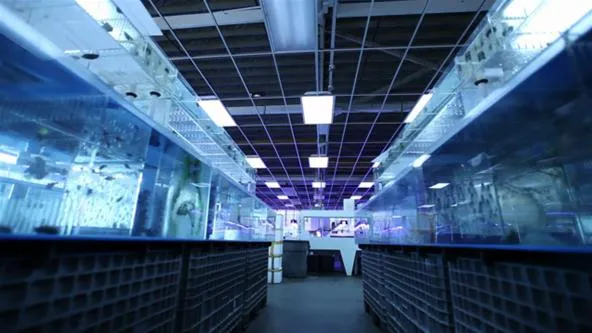 Lab interior with illuminated workstations and storage units.