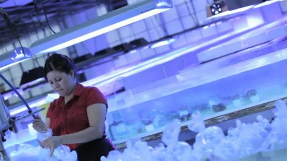 A woman sorting materials in a brightly lit workspace.