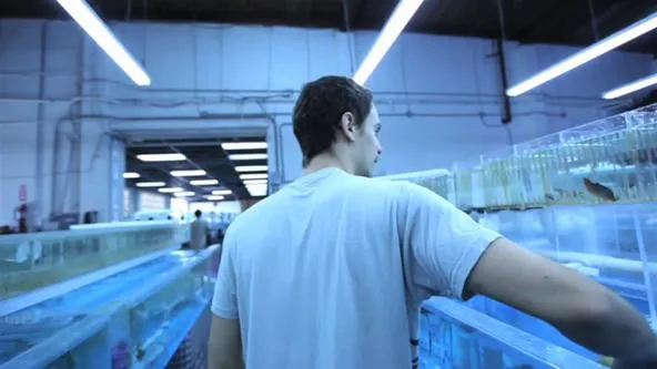 Person observing tanks in a well-lit indoor aquatic facility.