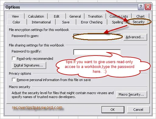 Options dialog for setting workbook password in spreadsheet software.