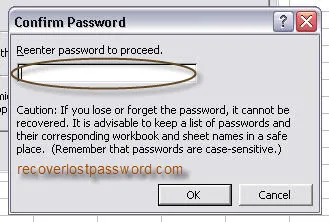 Password confirmation dialog box with cautionary note about password recovery.