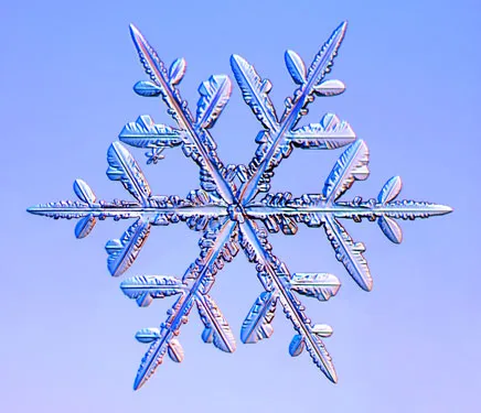 Intricate snowflake against a blue background.