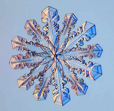 Snowflake with intricate crystalline structure on a light blue background.