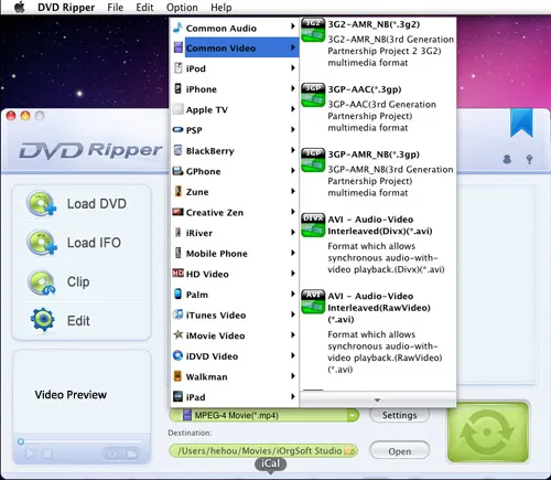 DVD Ripper software interface showing options for converting video formats.