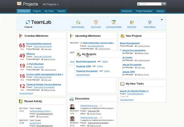 TeamLab project management dashboard overview.
