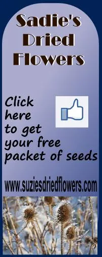 Sadie's Dried Flowers advertisement for free seed packet.