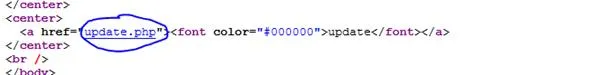 Code snippet showing HTML anchor tag with highlighted URL and font color.