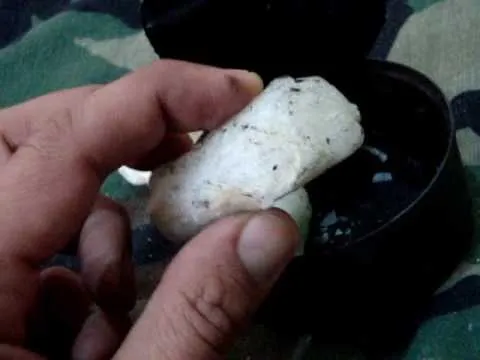 Rock held in hand above a small black container.