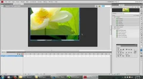 A close-up of a white flower with yellow center against green leaves, edited in a graphic design software.