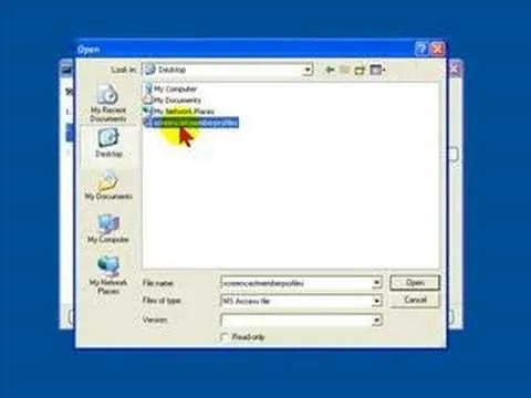 File selection window in a computer interface.