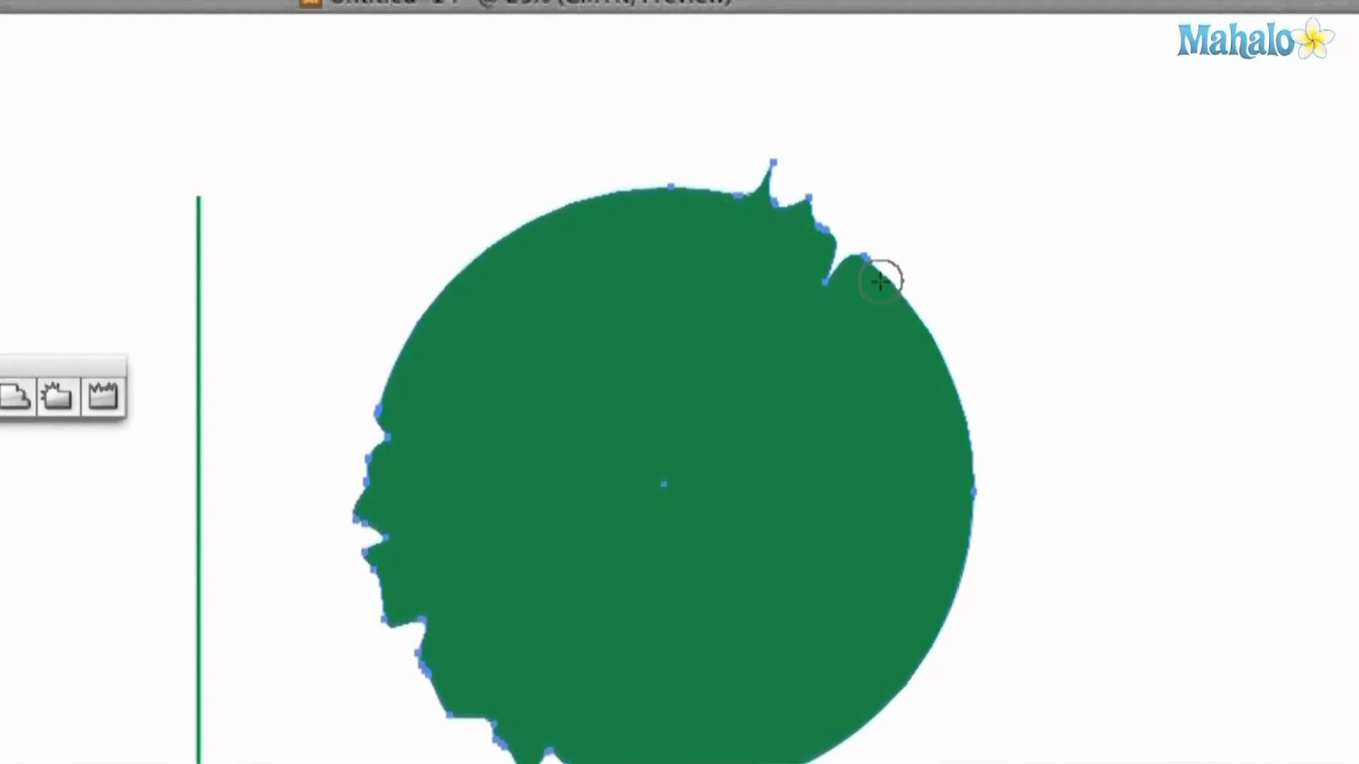 A green circular graphic with irregular edges.