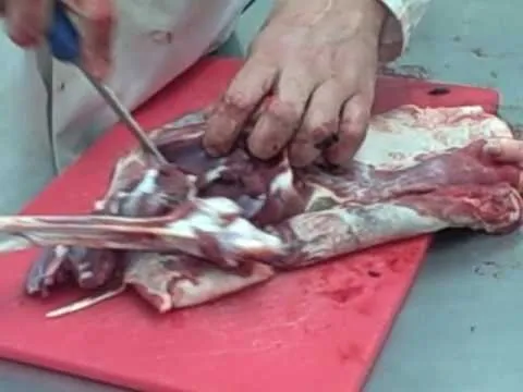 How to Butcher a deer cover