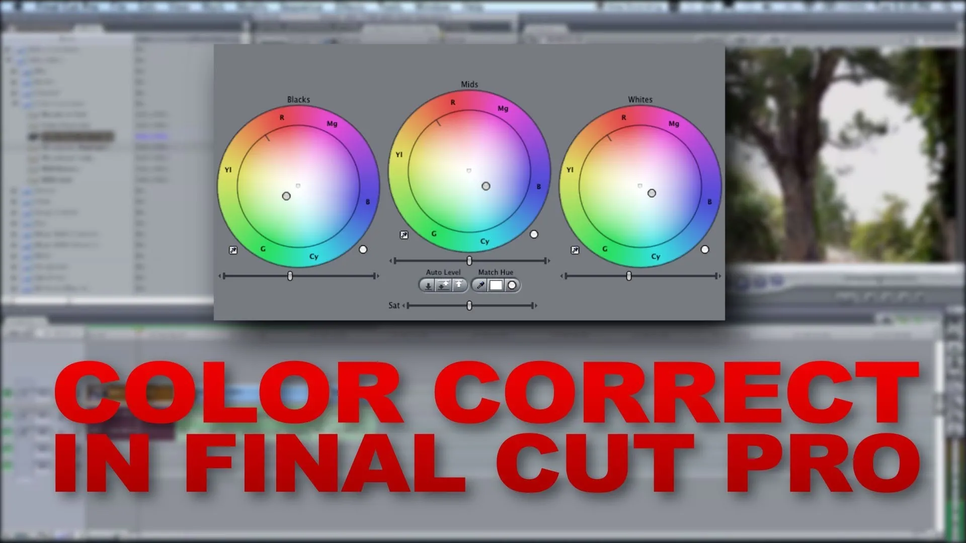 "How to Add music with Final Cut Pro" cover image