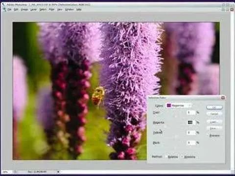 A close-up of vibrant purple flowers with a bee hovering near them.