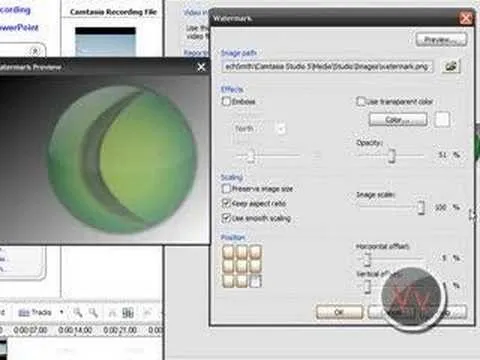 Graphic showing a software interface for adjusting image properties, featuring a circular design element in green.