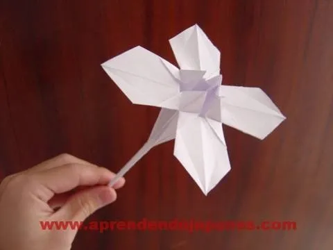 Origami flower held by a hand.