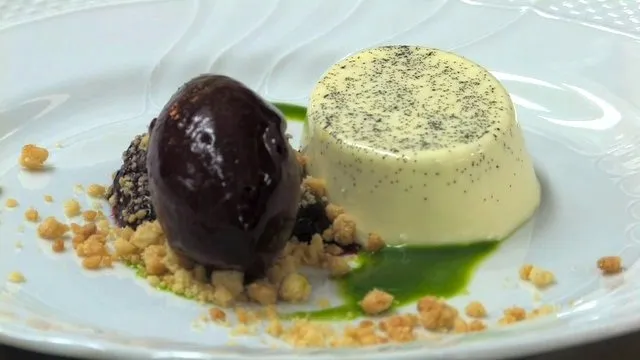 Dessert plate featuring a creamy panna cotta, chocolate sorbet, and a sprinkle of crushed nuts.