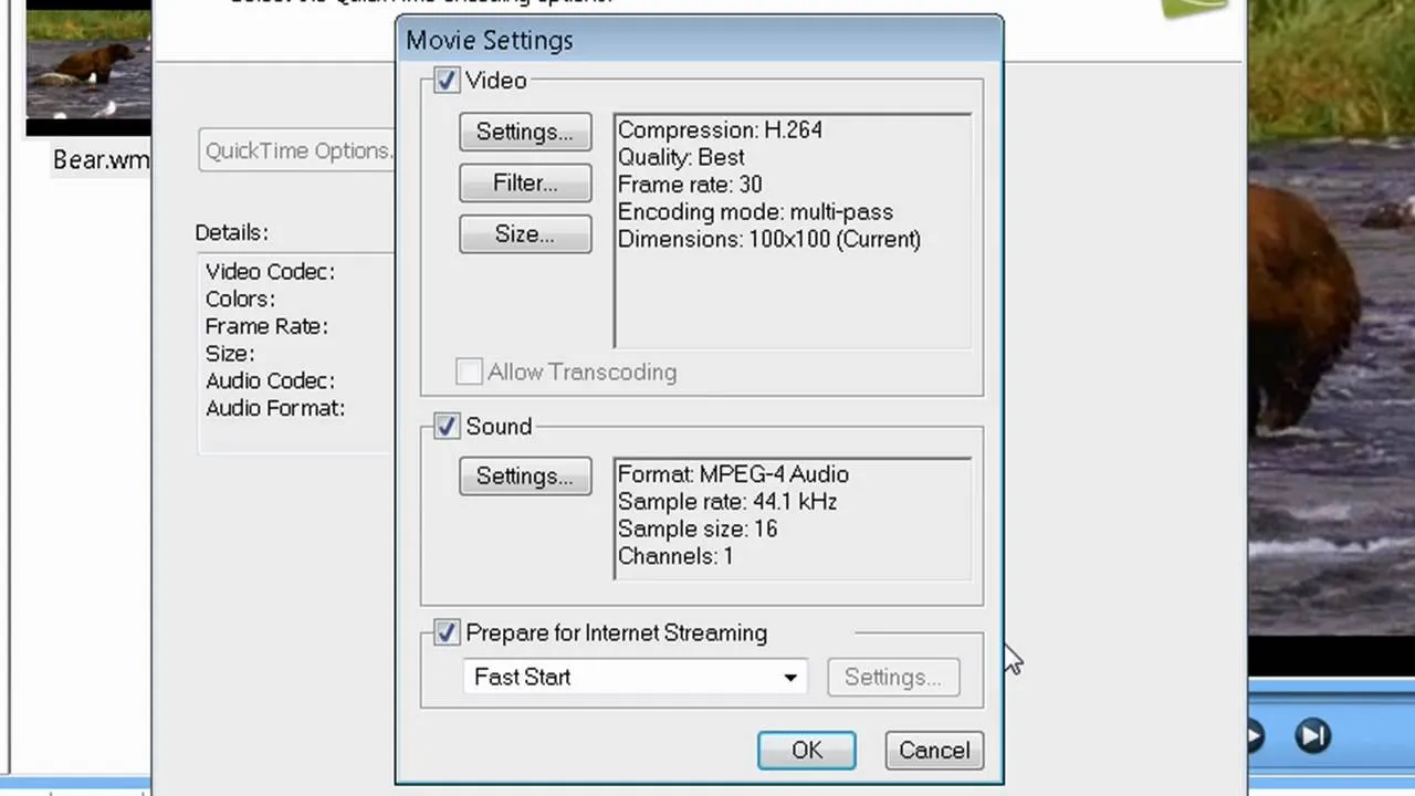 Video and audio settings configuration window.