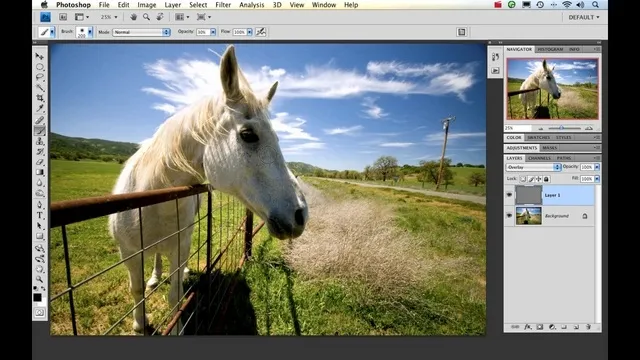 A white horse standing by a fence in a green field under a blue sky.