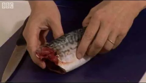 Preparing a fish for cooking.