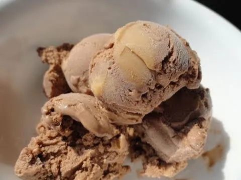 Chocolate ice cream scoop in a bowl.
