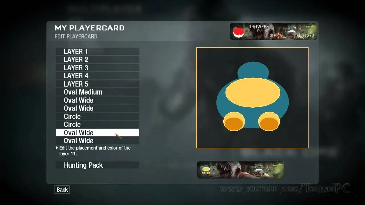Customized player card options in a video game.