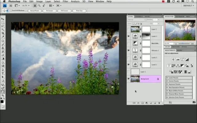 Photoshop interface displaying a landscape image with flowers and a reflection.