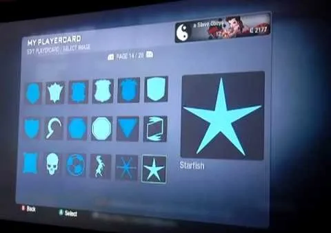 Gaming profile play card showing various emblems and a star icon.