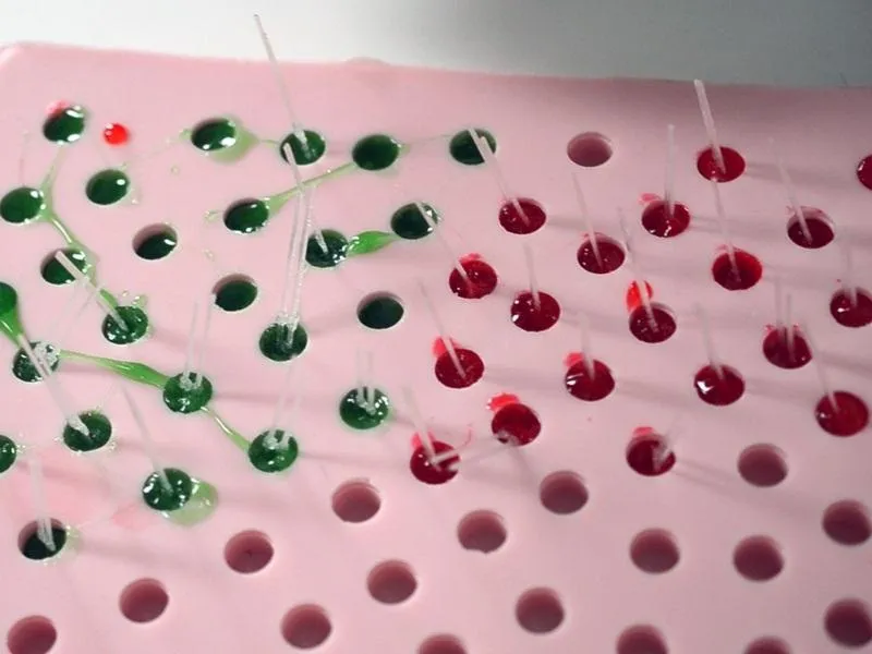Microspheres in wells on a laboratory plate, showing green and red samples.