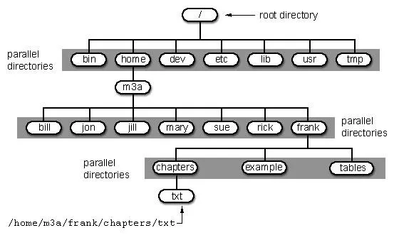 Directory structure diagram illustrating parallel directories in a file system.