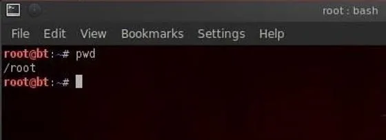 Terminal window showing the command `pwd` executed, displaying the output `/root`.