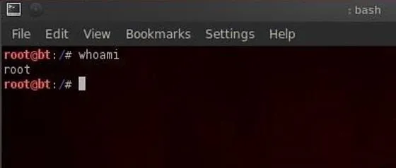 Terminal window displaying command prompt with "whoami" command output.