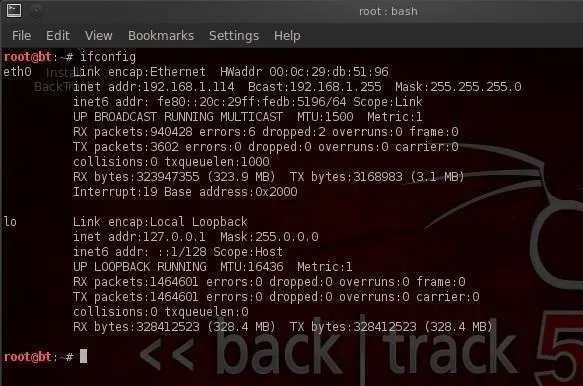 Terminal output of the 'ifconfig' command displaying network interface information.