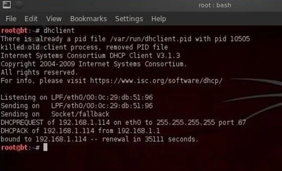 Command line interface displaying DHCP client activity and configuration details.