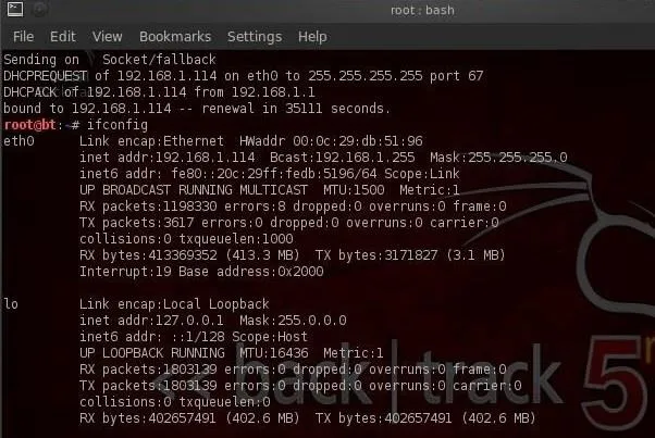 Terminal output displaying network configuration details in a Linux environment.