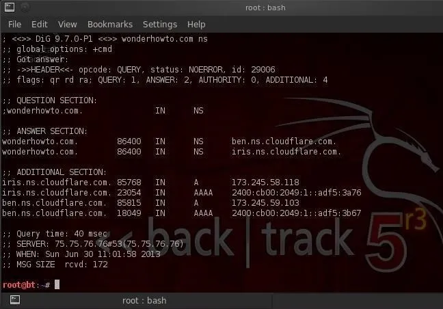 Terminal window displaying a DNS query result.