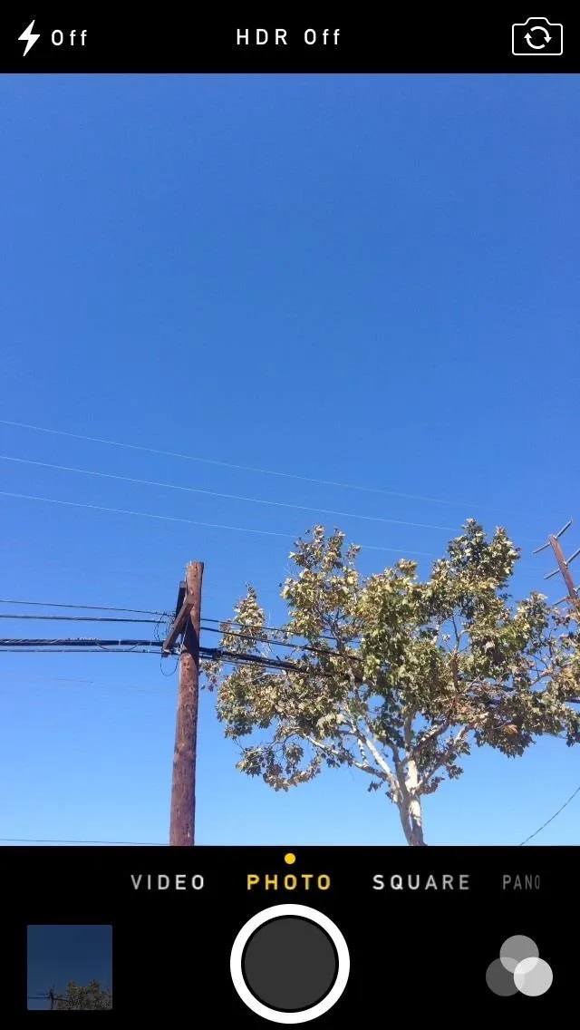 Clear blue sky with a tree and power lines.