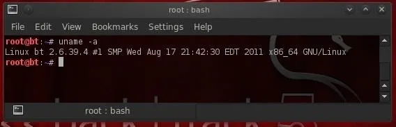 Terminal window displaying Linux command line interface.