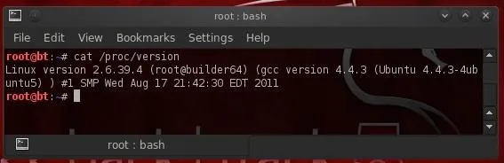 Terminal command output showing system version and information.