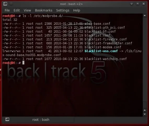 Terminal window displaying a directory listing with various files and a focus on "blacklist-warning.com".