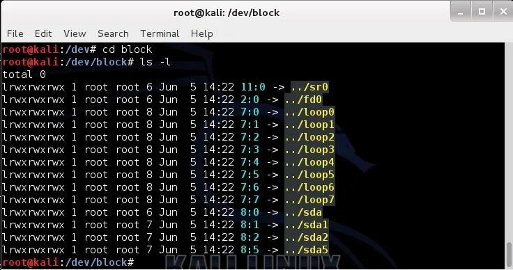 Terminal output displaying directory contents and file details in a Linux environment.