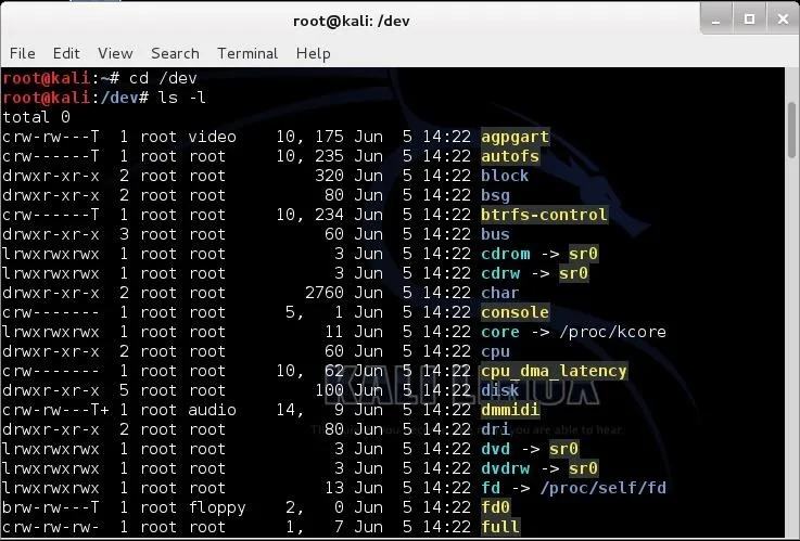 Terminal command output displaying files and directories in a Linux environment.