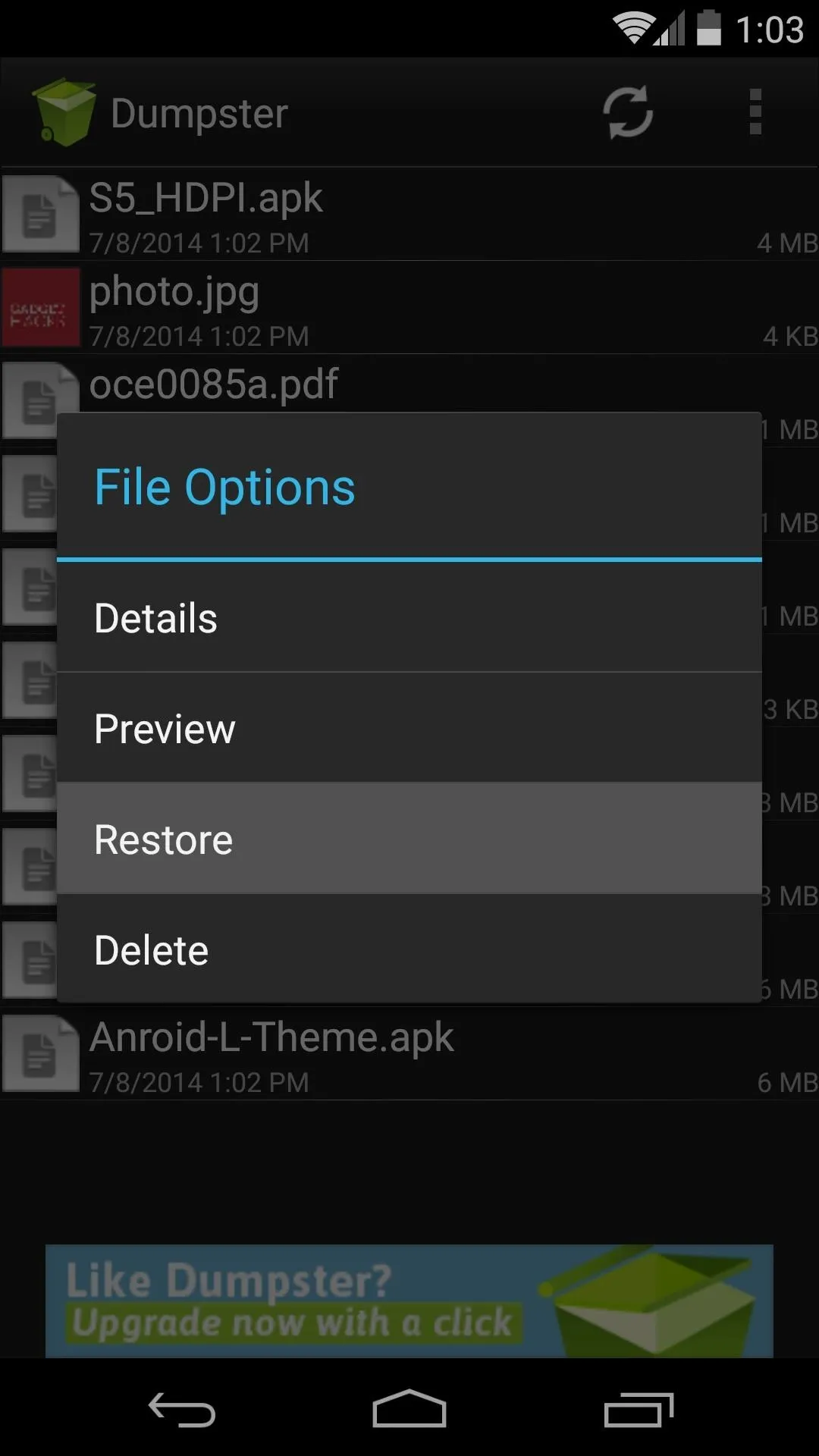 File options menu on a mobile device displaying options for details, preview, and delete.