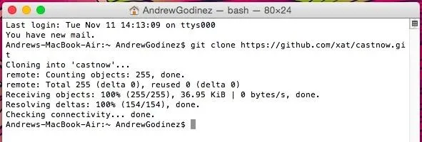 Terminal session displaying a Git clone command output.