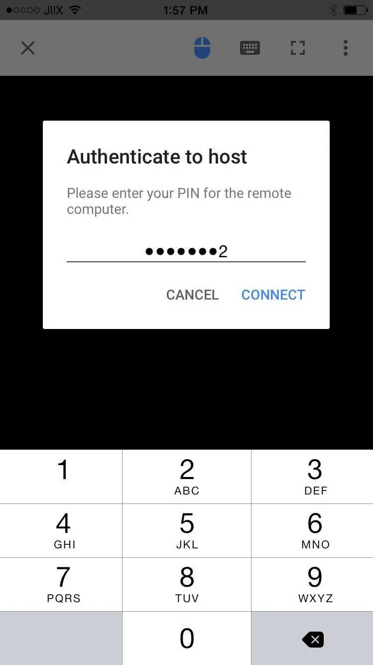 Authentication screen with PIN input field.