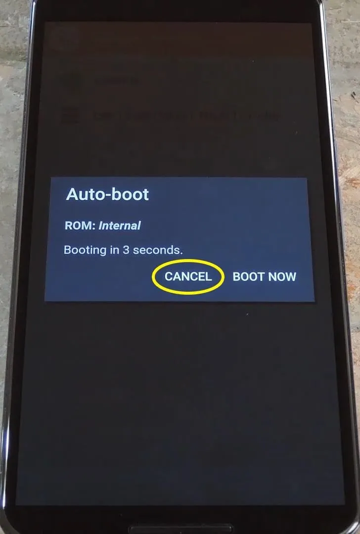 Auto-boot screen with "Cancel" option highlighted.