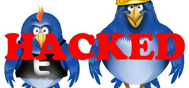 Cartoon birds with the word "HACKED" in bold red text.